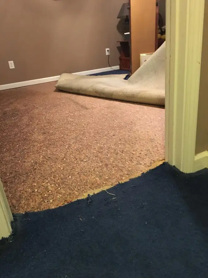 Carpet pad removal revealing water damage during Water Mitigation Services in Chaska