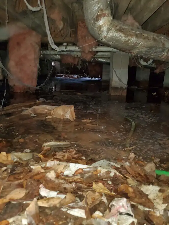 Crawl space flood assessment for Leak Detection & Repair in Chaska